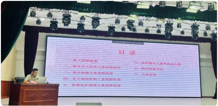 泰山区开展儿童督导员、儿童主任赋能暨心理健康关爱服务能力培训会议